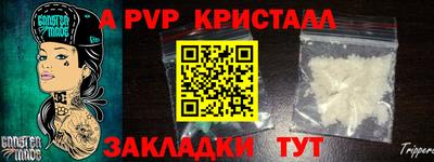 гашик Волжский