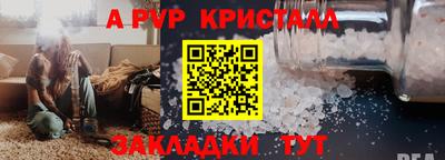 стаф Гатчина