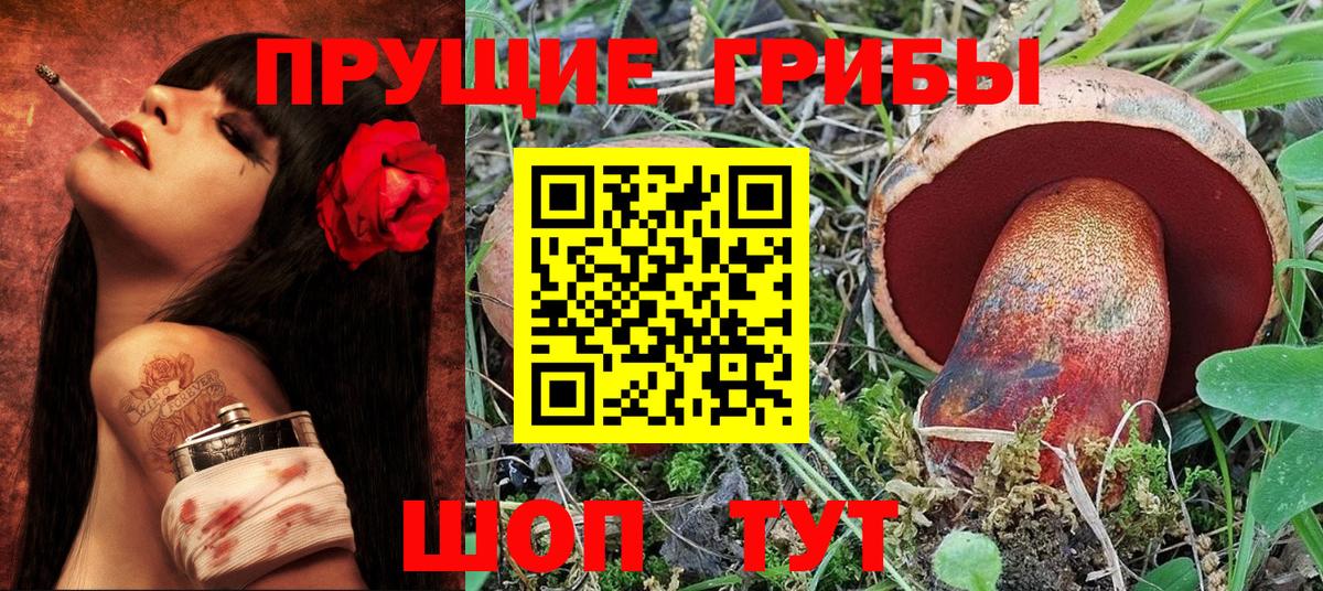Качканар  Галлюциногенные грибы Cubensis  как найти   Вход с VPN 