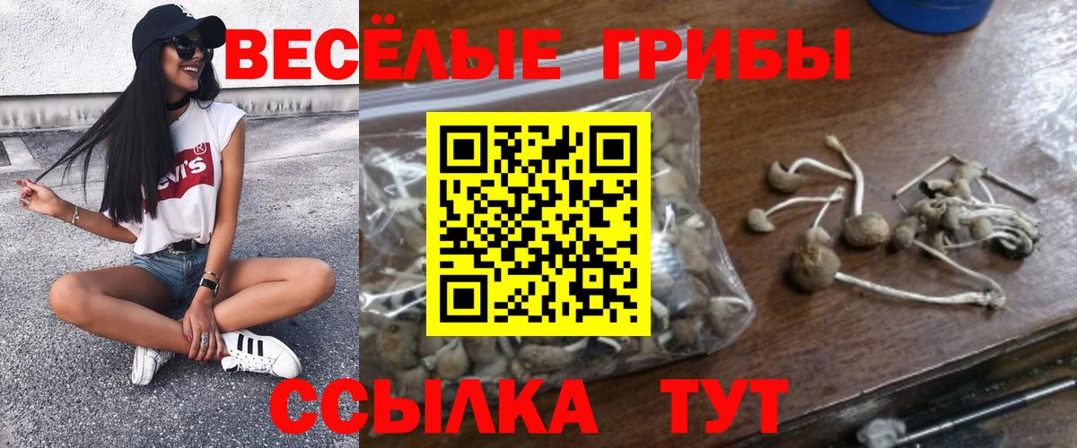 Псилоцибиновые грибы мицелий Качканар